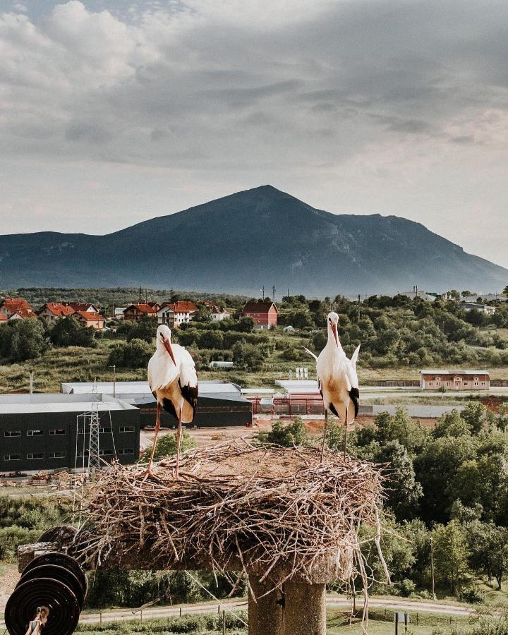 Rtanjska Bajka Apartamento Boljevac Exterior foto